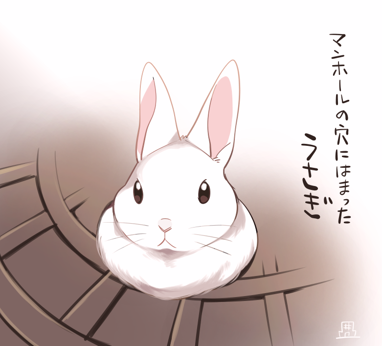 2016 ichthy0stega japanese_text lagomorph leporid mammal rabbit text translation_request