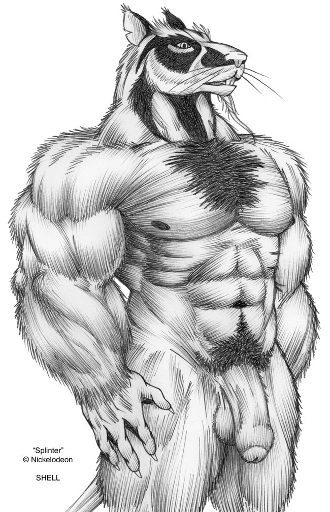 abs anthro balls biceps big_muscles flaccid jay_shell male mammal master_splinter murid murine muscular muscular_male navel nipples nude pecs penis pubes rat rodent solo teenage_mutant_ninja_turtles