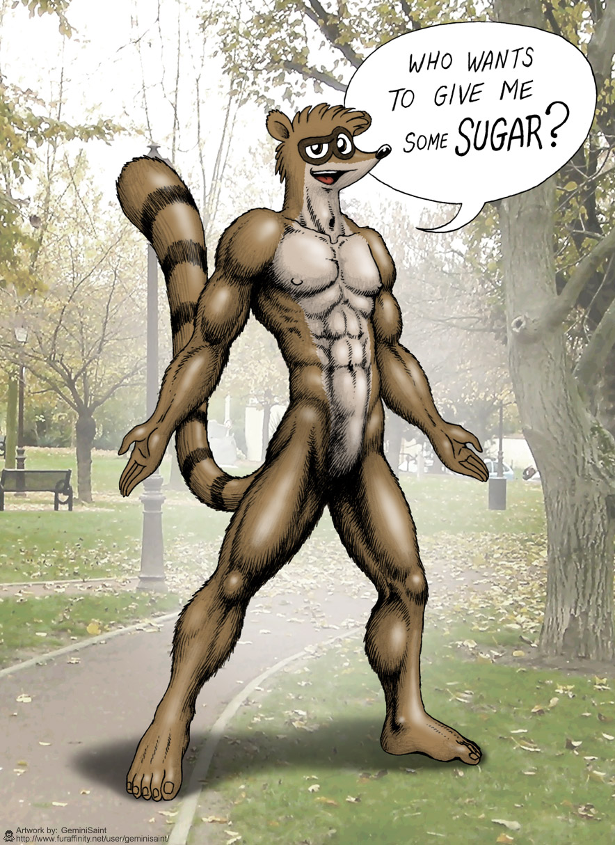 2015 5_fingers 5_toes anthro brown_body brown_eyes brown_fur don_(regular_show) english_text featureless_crotch fingers front_view fur geminisaint hi_res looking_at_viewer male mammal muscular muscular_male nude open_mouth outside photo_background procyonid raccoon solo speech_bubble standing text toes