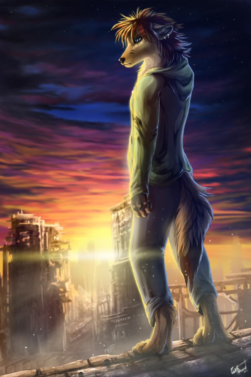 2012 barefoot black_nose brown_hair canid canine day detailed_background digital_media_(artwork) digitigrade fingers hair hi_res mammal outside sky star starry_sky sun toes wolfroad