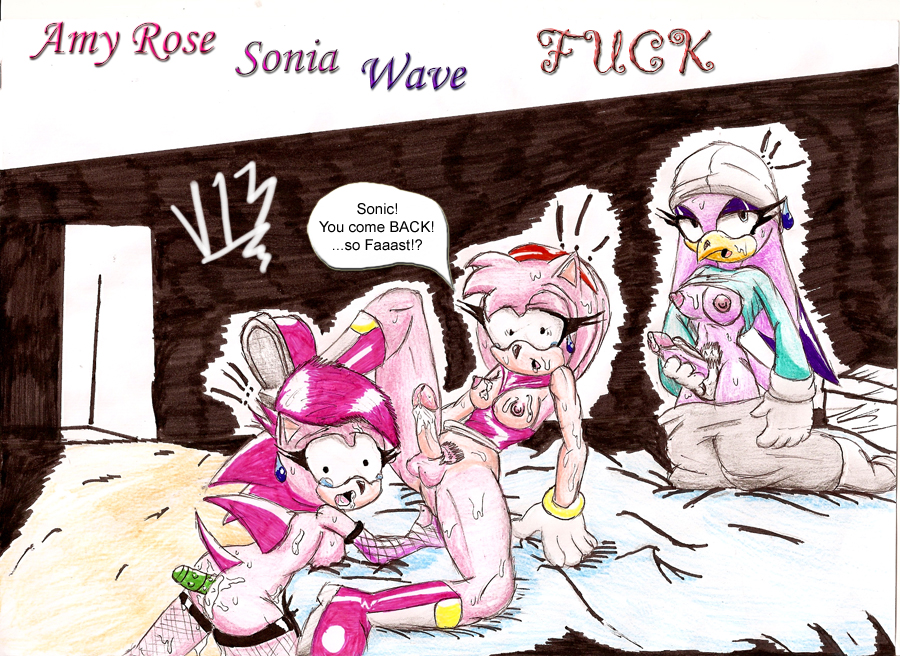 amy_rose sonia_the_hedgehog sonic_riders sonic_team sonic_underground v13 wave_the_swallow
