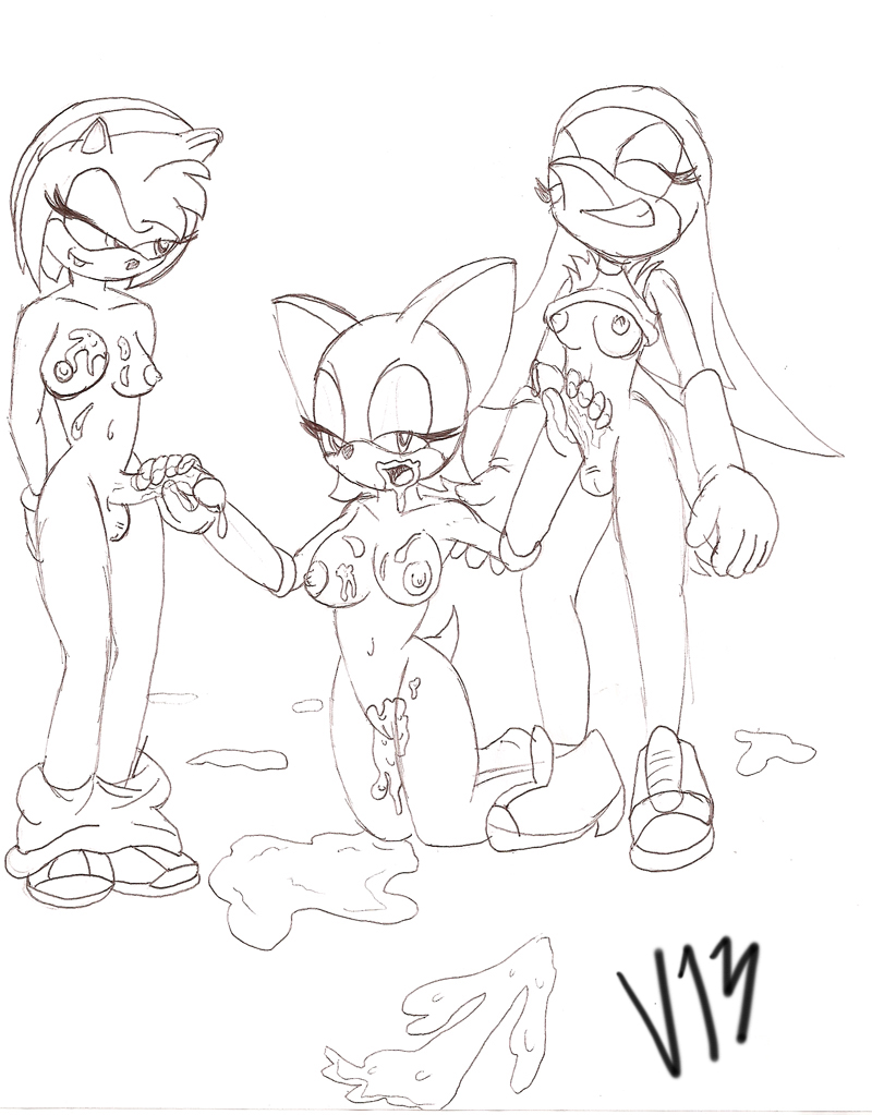 amy_rose rouge_the_bat sonic_riders sonic_team v13 wave_the_swallow