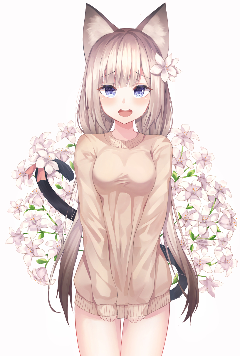 1girl animal_ear_fluff animal_ears bangs blue_eyes blush breasts brown_hair brown_sweater cat cat_ears cat_girl cat_tail commentary_request eyebrows_visible_through_hair flower hair_flower hair_ornament highres long_hair long_sleeves looking_at_viewer low_twintails medium_breasts open_mouth original personification shiro_(acad1213) siamese_cat simple_background sleeves_past_wrists solo sweater tail thigh_gap twintails upper_teeth very_long_hair white_background white_flower