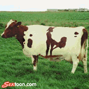 animated cow_spots sextoon tagme