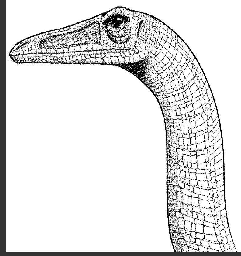 coelophysid coelophysis coelophysis_bauri dahurgthedragon detailed dinosaur featherless feral long_neck portrait realistic reptile scales scalie simple_background theropod