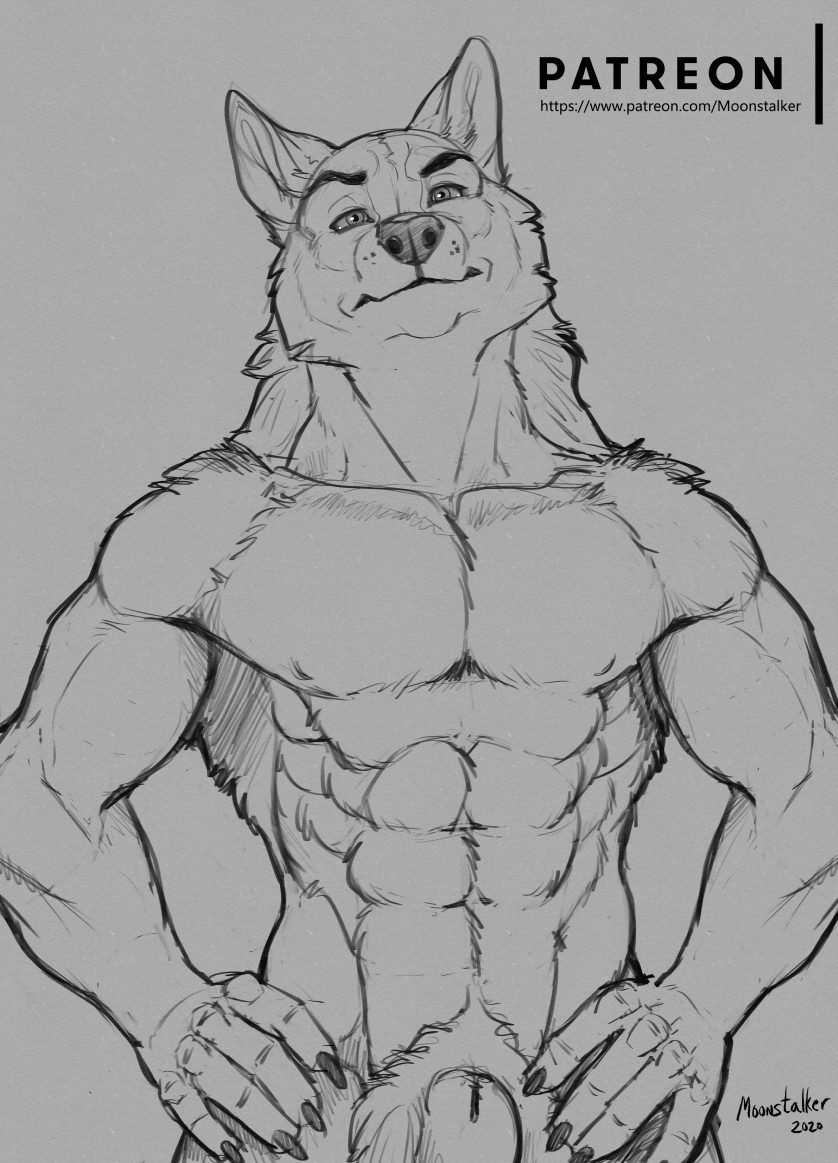 2020 abs animal_genitalia canid canine canis fully_sheathed genitals hands_on_hips looking_at_viewer male mammal monochrome moonstalker_(character) richard_foley sheath sketch solo text url wolf