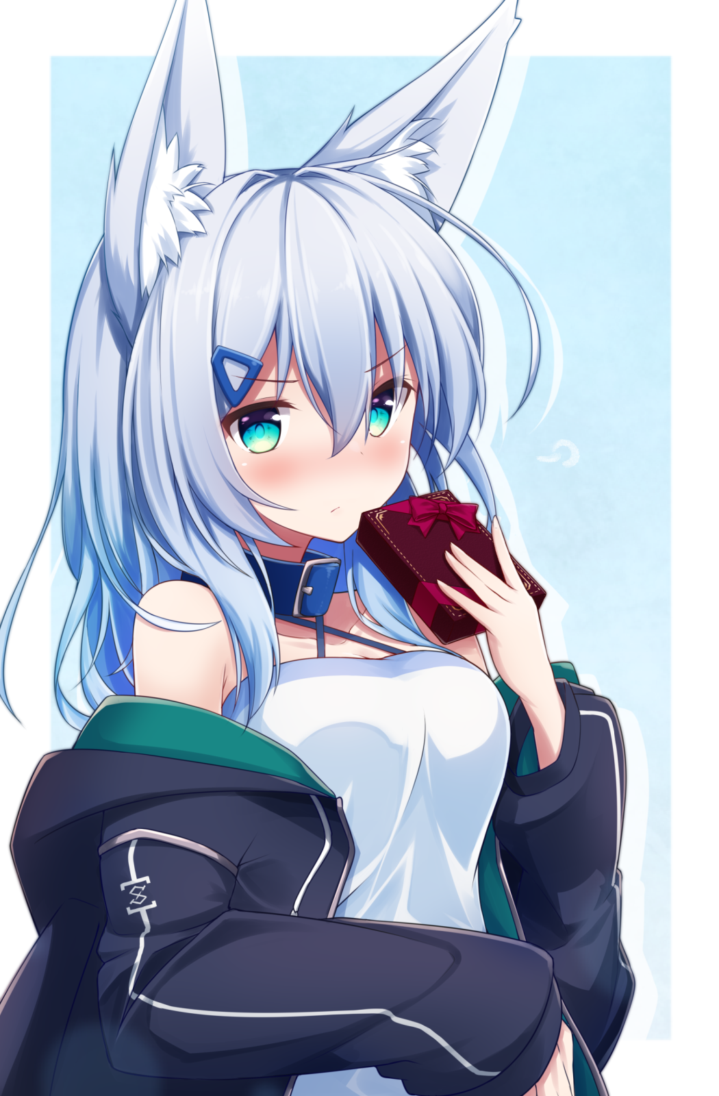 1girl animal_ears bangs bare_shoulders black_jacket blue_background blue_collar blue_eyes blue_hair blush box breasts camisole cleavage closed_mouth collar collarbone drop_shadow eyebrows_visible_through_hair fox_ears gift gift_box hair_between_eyes hair_ornament hairclip hand_up highres holding holding_gift hood hood_down hooded_jacket jacket long_hair long_sleeves looking_at_viewer medium_breasts nose_blush open_clothes open_jacket original shirogane_kasane sleeves_past_wrists solo surume_aburi two-tone_background v-shaped_eyebrows white_background white_camisole