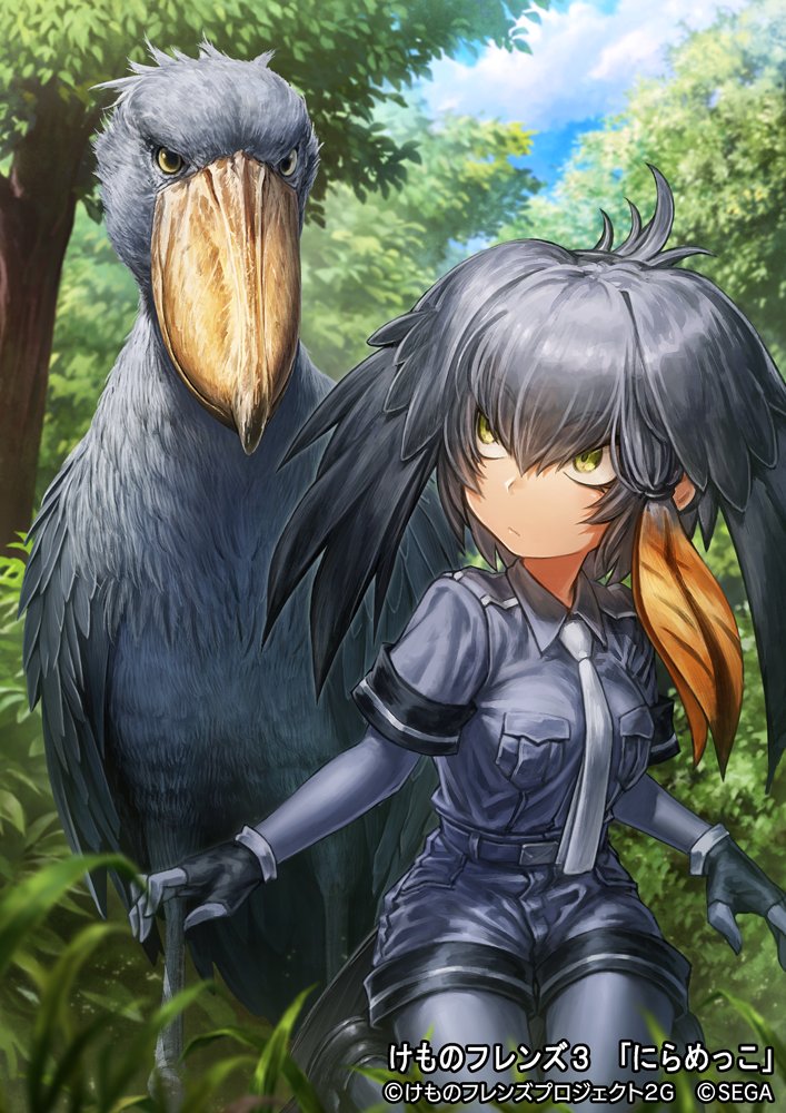 1girl animal bangs belt bird bird_tail black_gloves bodystocking breast_pocket closed_mouth collared_shirt creature_and_personification day eyebrows_visible_through_hair fingerless_gloves gloves grass green_eyes grey_hair grey_neckwear grey_shirt grey_shorts hair_between_eyes kemono_friends kemono_friends_3:_planet_tours kneeling lain long_hair long_sleeves looking_at_another multicolored_hair necktie orange_hair outdoors pocket shirt shoebill shoebill_(kemono_friends) short_over_long_sleeves short_sleeves shorts sidelocks tree watermark