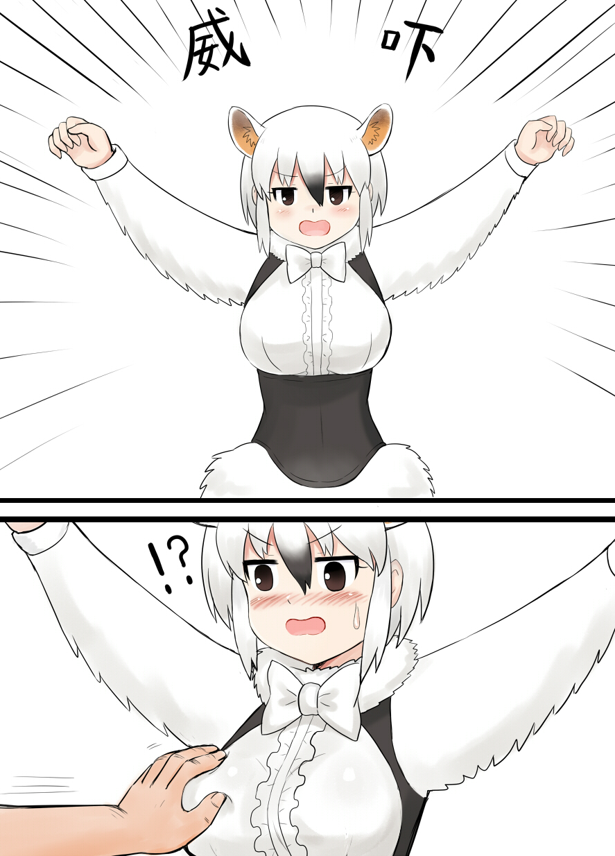!? 1girl animal_ear_fluff animal_ears arms_up bangs black_hair blush bow bowtie breast_grab breasts brown_eyes center_frills chinese_commentary commentary_request emphasis_lines extra_ears eyebrows_visible_through_hair fur_collar grabbing hair_between_eyes highres kemono_friends large_breasts long_sleeves looking_at_viewer multicolored_hair open_mouth short_hair simple_background southern_tamandua_(kemono_friends) sweatdrop tamandua_ears two-tone_hair underbust v-shaped_eyebrows white_background white_hair white_neckwear y.ssanoha