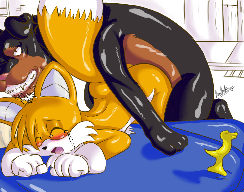 sonic_team tagme tails