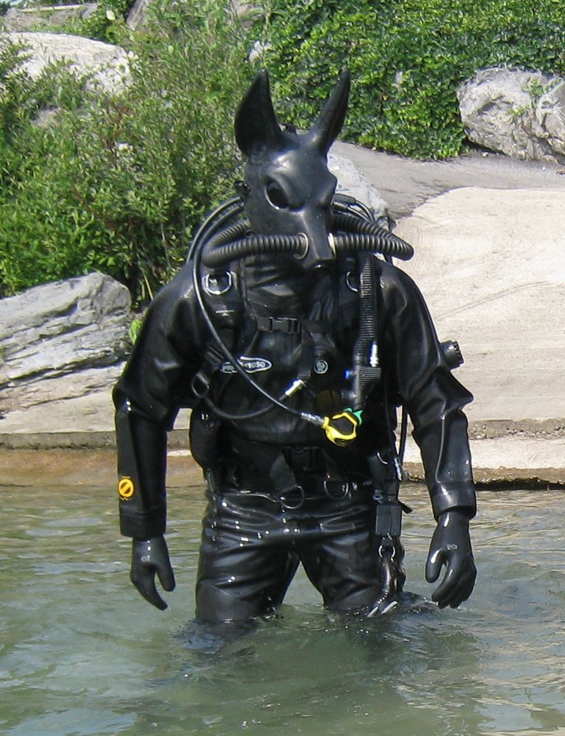 2008 animal_mask clothed clothing fully_clothed male mammal mask outside photography_(artwork) real rubber rubber_suit scuba_gear solo standing unknown_artist water
