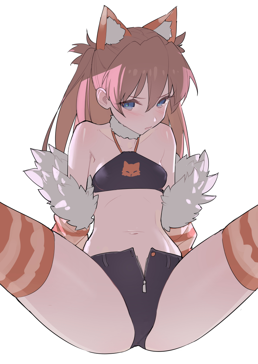 1girl animal_ears ass bandeau bare_shoulders black_shorts blue_eyes breasts brown_hair cat_ears collarbone commentary detached_sleeves fur_collar fur_trim highres kemonomimi_mode long_hair looking_at_viewer micro_shorts midriff navel neon_genesis_evangelion one_side_up open_fly orange_legwear shorts simple_background sitting small_breasts solo souryuu_asuka_langley spread_legs stomach striped striped_legwear thighhighs thighs tim_loechner white_background