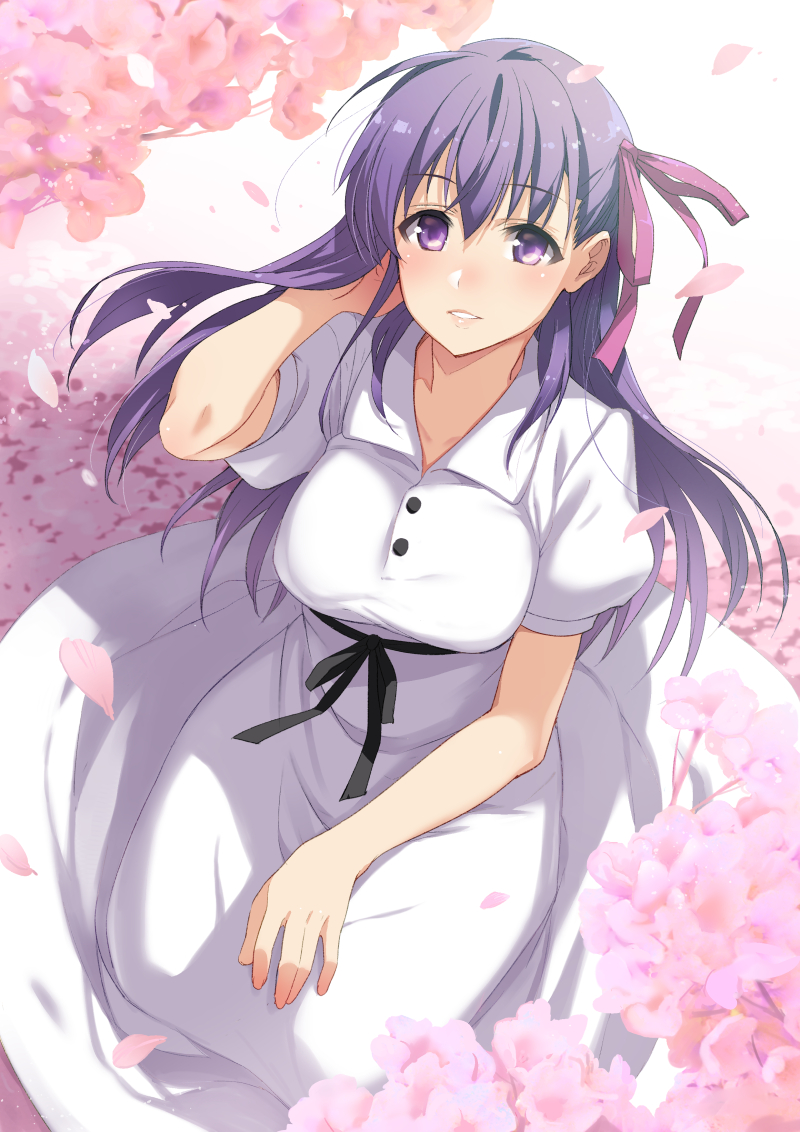 1girl bangs black_ribbon blush breasts cherry_blossoms collared_dress dress fate/stay_night fate_(series) hair_between_eyes hair_ribbon hand_in_hair inue_shinsuke large_breasts long_hair looking_at_viewer matou_sakura parted_lips petals purple_eyes purple_hair purple_ribbon ribbon seiza short_sleeves sitting smile solo white_dress