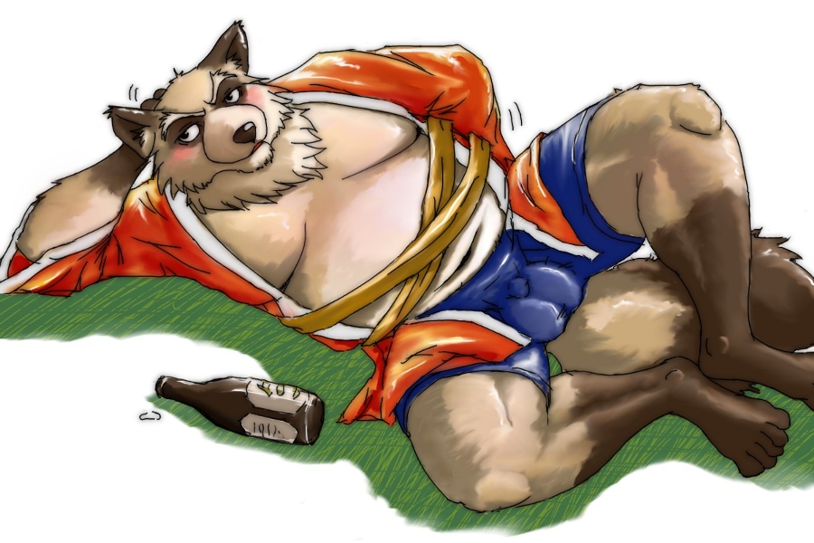 2008 3:2 anthro balls_outline belly blush bottomwear brown_body brown_fur canid canine clothing fur genital_outline kemono male mammal overweight overweight_male poisonkinoko raccoon_dog robe shorts solo tanuki