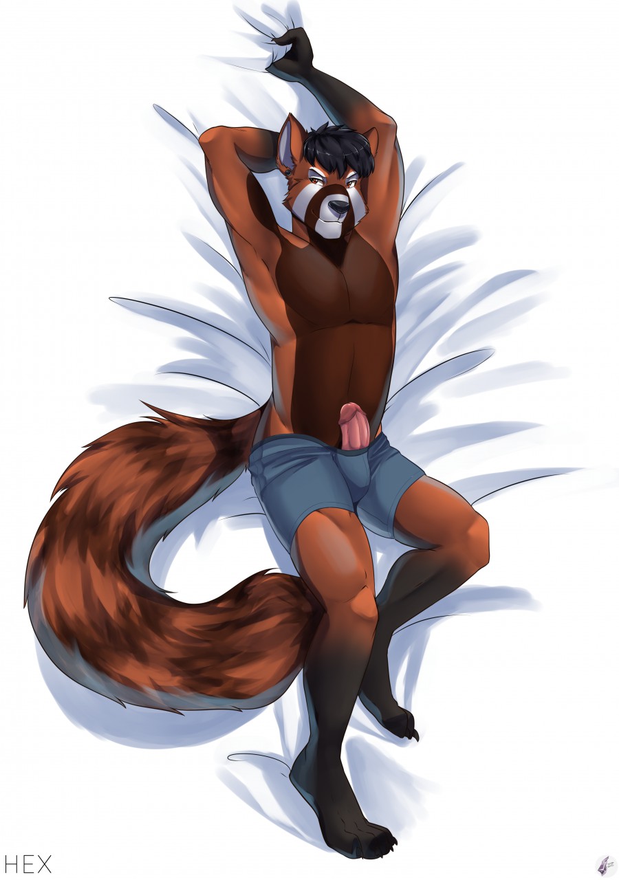 ailurid anthro bedroom_eyes black_body chillin clothing dakimakura_design ear_piercing erection fur genitals hex_degoli hi_res male mammal narrowed_eyes paws penis piercing purpledragonrei red_panda seductive simple_background smile solo thick_penis underwear