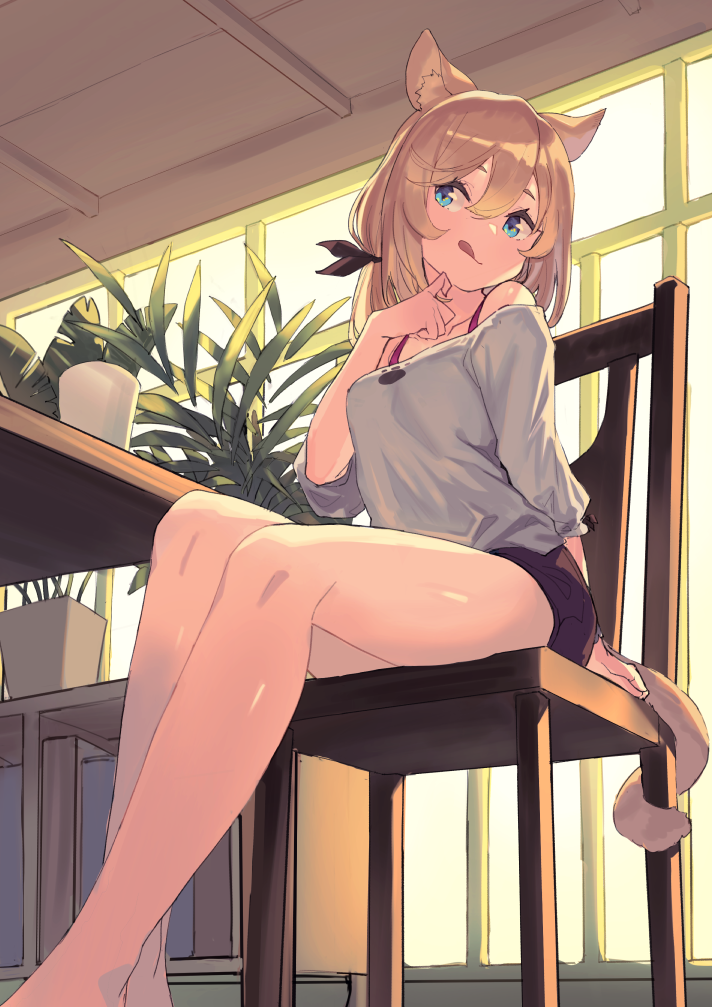 1girl :q animal_ears bare_legs bare_shoulders black_shorts blonde_hair blue_eyes bra_strap breasts casual cat_ears cat_girl cat_tail closed_mouth collarbone commentary_request feet_out_of_frame finger_to_face flower_pot from_below grey_shirt hair_between_eyes indoors long_hair long_sleeves looking_away medium_breasts off-shoulder_shirt off_shoulder on_chair original peroncho plant potted_plant shirt short_shorts shorts sitting smile solo table tail tongue tongue_out