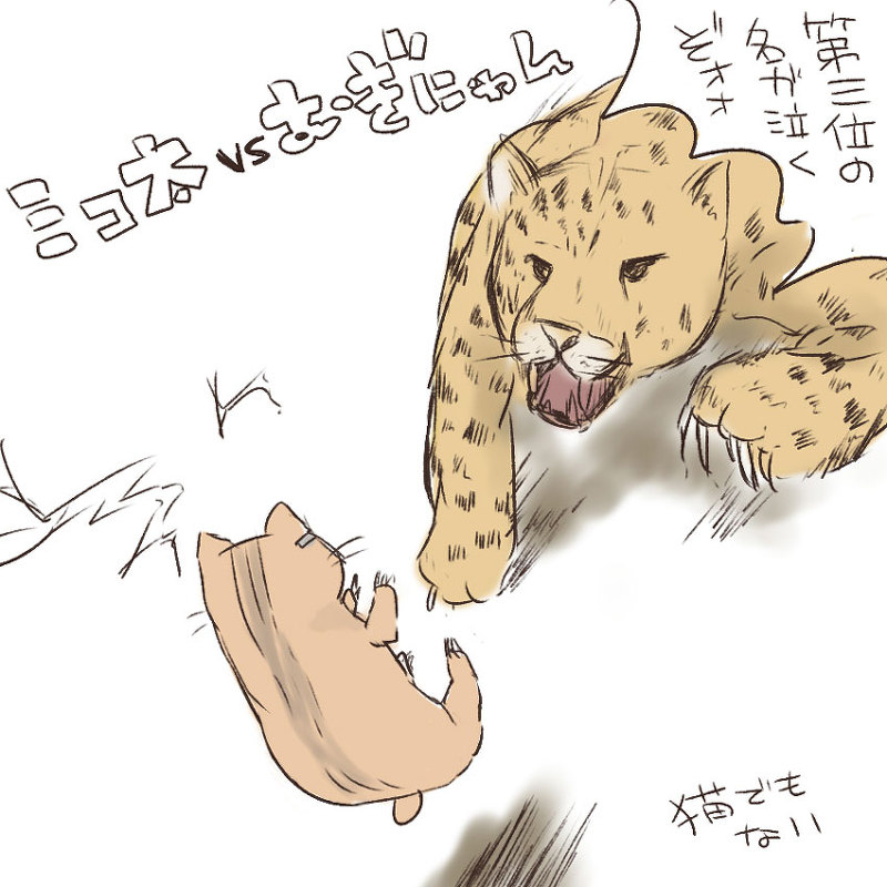 aitamochi_(suita) cat cats cheetah to_aru_kagaku_no_railgun to_aru_majutsu_no_index translation_request