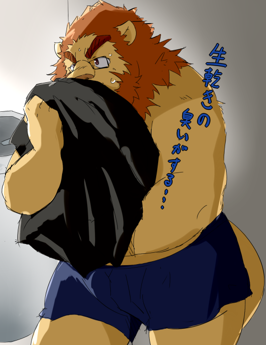 2012 anthro belly bodily_fluids bottomwear clothing eyewear felid glasses japanese_text kemono lion male mammal overweight overweight_male pantherine shirt shorts solo sweat text topwear train_(artist) undressing