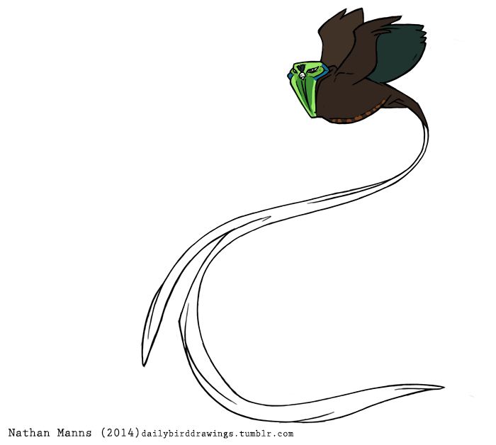 2014 artist_name astrapia avian beak biped bird black_pupils black_text blue_body blue_feathers brown_body brown_feathers brown_tail brown_tail_feathers brown_wings dark_body dark_feathers dark_pupils dark_text digital_drawing_(artwork) digital_media_(artwork) feathered_arms feathered_wings feathers feral flat_colors flying green_body green_feathers grey_beak grey_body grey_eyes grey_feathers grey_wings iris jamminbison light_beak light_body light_feathers light_tail light_tail_feathers long_tail long_tail_feathers monotone_beak multi_tone_body multi_tone_feathers multicolored_body multicolored_feathers multicolored_tail multicolored_tail_feathers multicolored_wings oscine paradisaeid passerine pupils raised_arm raised_wings ribbon-tailed_astrapia short_beak side_view simple_background small_beak suspended_in_midair text two_tone_tail two_tone_tail_feathers two_tone_wings url wavy_tail white_background white_body white_feathers white_tail white_tail_feathers winged_arms wings year
