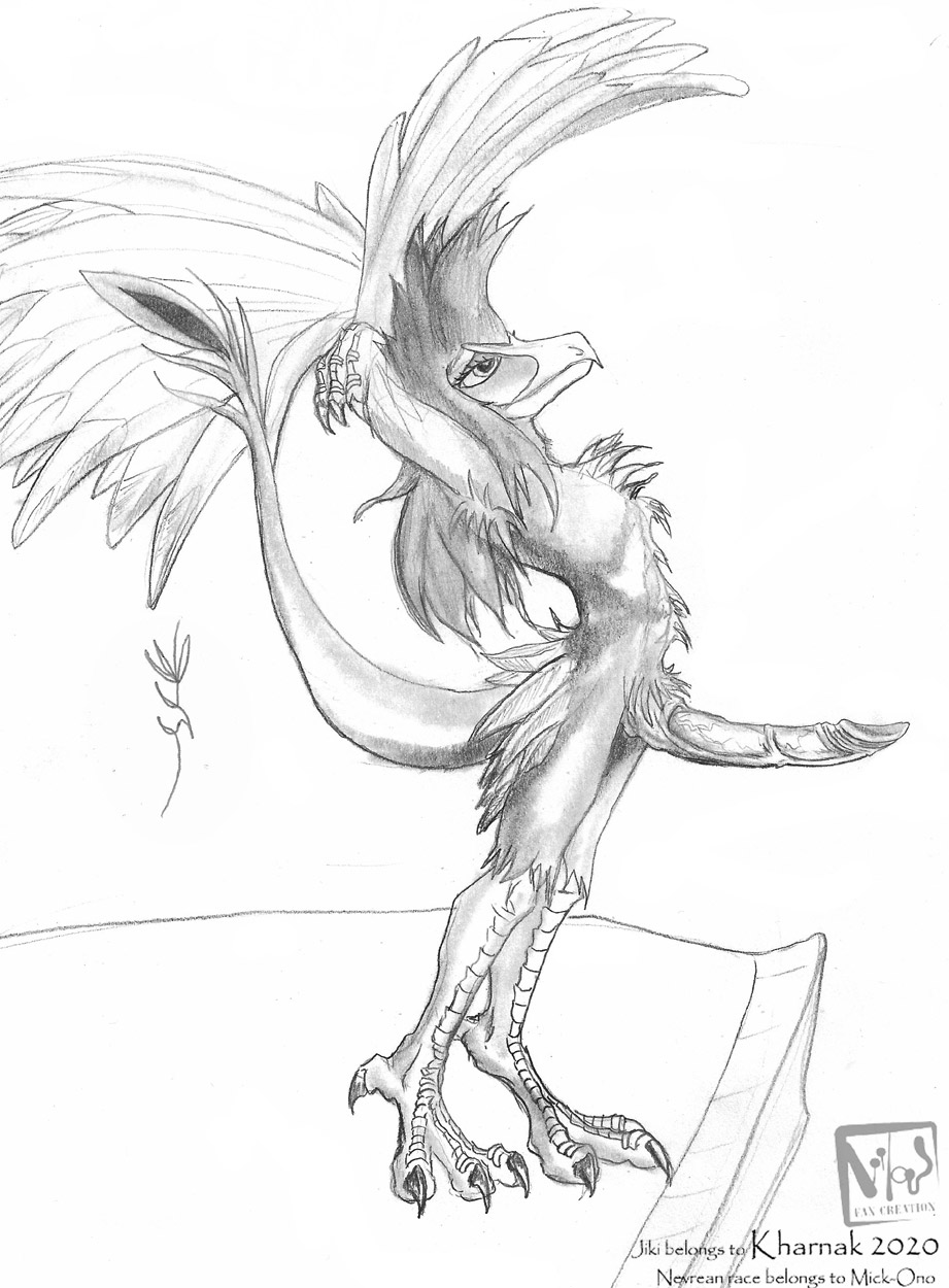 anthro avian erection hi_res jiki kharnak male monochrome nevrean presenting solo vilous