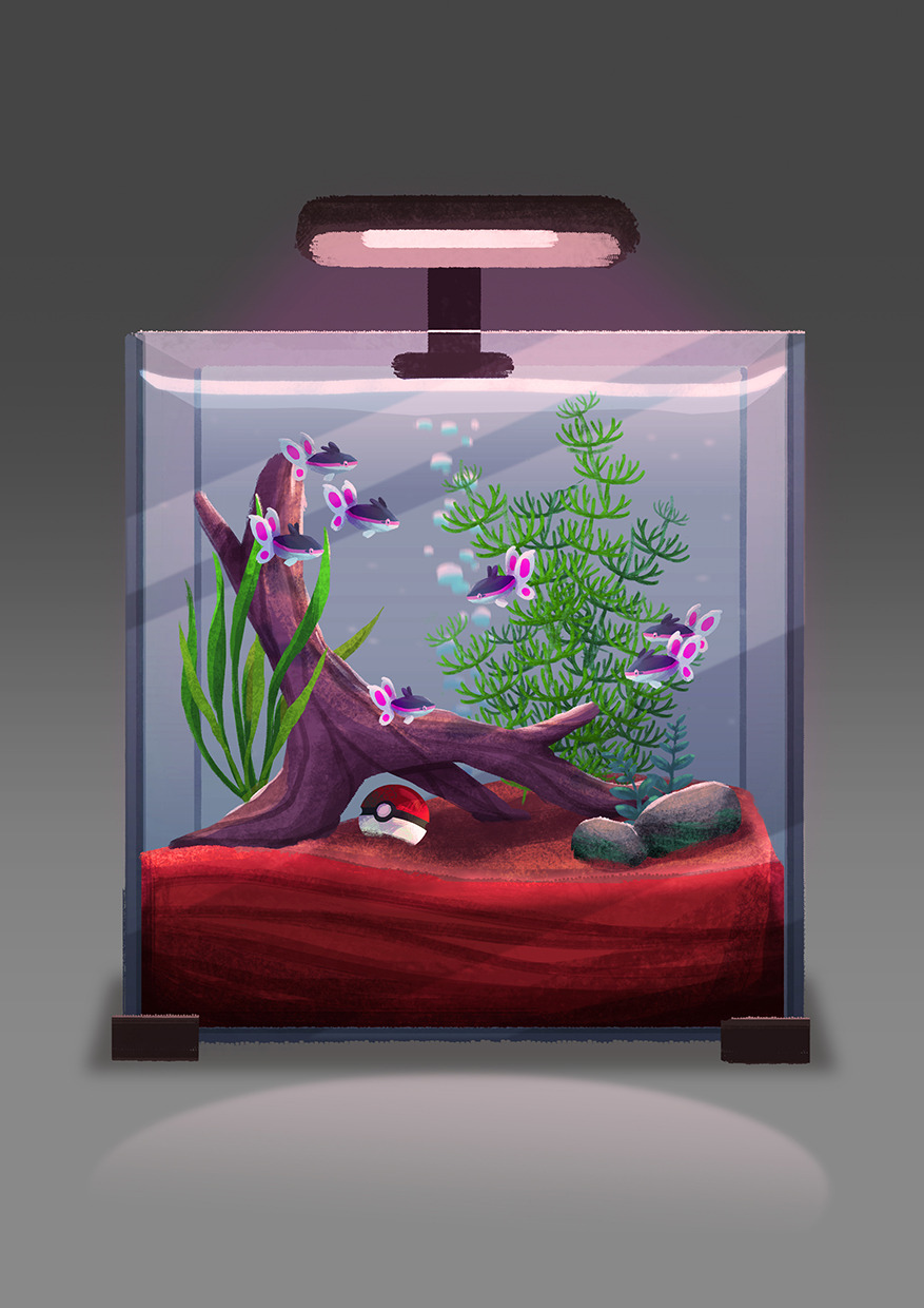 commentary creature english_commentary finneon fish fish_focus fish_tank full_body gen_4_pokemon grey_background highres kafel88 lamp no_humans poke_ball poke_ball_(generic) pokemon pokemon_(creature) rock seaweed simple_background water