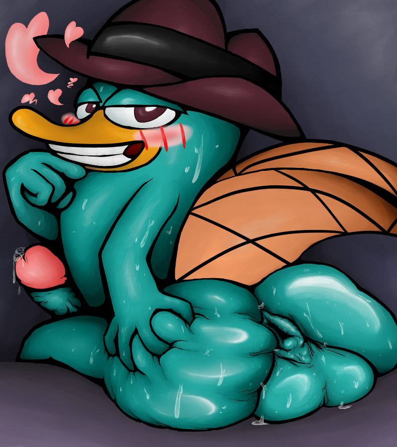 &lt;3 anthro anus balls beak blush bodily_fluids butt butt_grab clothing disney dripping fedora genital_fluids genitals hand_on_butt hat headgear headwear inviting inviting_to_sex male mammal momu9172 monotreme penis perry_the_platypus phineas_and_ferb platypus precum precum_drip presenting presenting_anus rear_view solo spread_butt spreading sweat tail