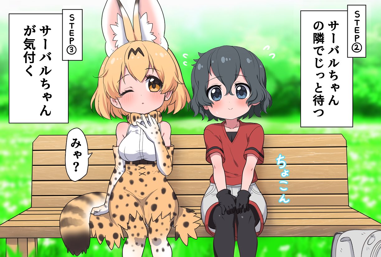 2girls animal_ears bare_shoulders bench black_hair black_legwear blonde_hair blue_eyes blush commentary_request elbow_gloves extra_ears eyebrows_visible_through_hair gloves grass hands_on_lap high-waist_skirt kaban_(kemono_friends) kemono_friends multiple_girls one_eye_closed pantyhose print_gloves print_legwear print_skirt ransusan red_shirt serval_(kemono_friends) serval_ears serval_girl serval_print serval_tail shirt short_hair short_sleeves shorts sitting skirt sleeveless t-shirt tail thighhighs translation_request white_shirt yellow_eyes