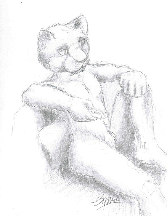 animal_genitalia channel domestic_cat drawing felid feline felis genitals hopping male mammal nude pencil_(disambiguation) sheath sketch television