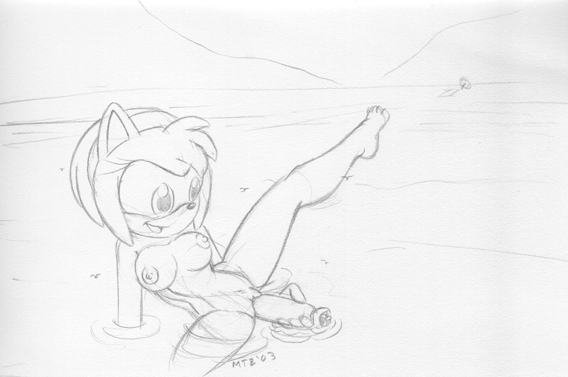 amy_rose anthro breasts dildo eulipotyphlan female genitals hedgehog macro mammal monochrome nude penetration pussy sex_toy sketch solo sonic_the_hedgehog_(series) swimming torpedo vaginal vaginal_penetration vkyrie