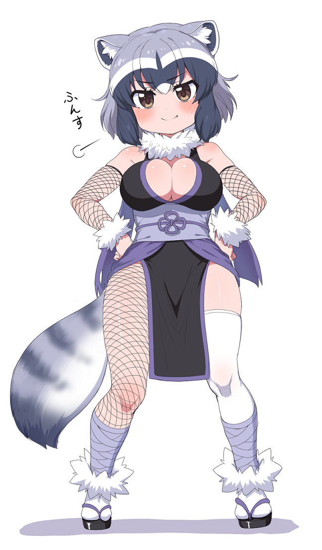 1girl animal_ears bandages bare_shoulders blush breasts brown_eyes cleavage common_raccoon_(kemono_friends) fang fang_out fishnet_gloves fishnet_legwear fishnets full_body fur_collar gloves grey_hair hands_on_hips kemono_friends large_breasts looking_at_viewer multicolored_hair ninja obi pelvic_curtain raccoon_ears raccoon_tail ransusan sash short_hair simple_background smile smug socks solo tail thighhighs white_background white_hair white_legwear