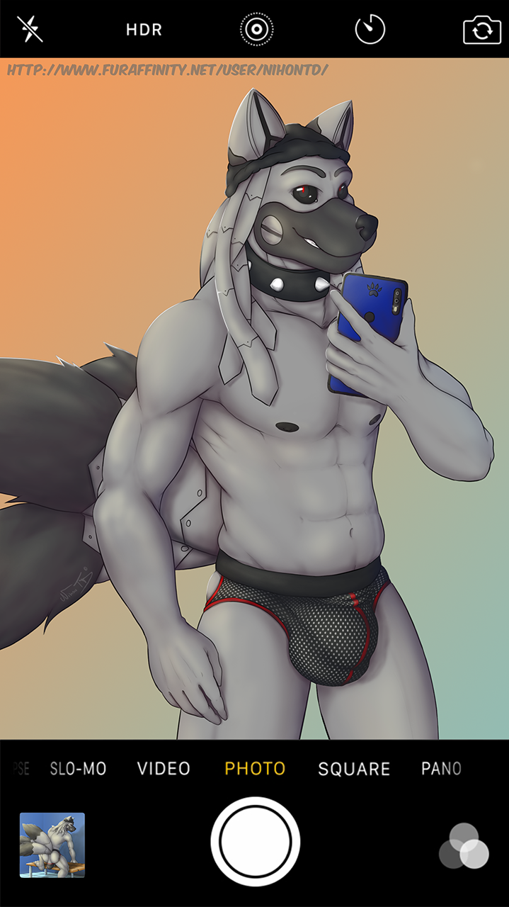 anthro bulge canid canine canis cellphone clothing collar hat headgear headwear hi_res jockstrap looking_at_viewer male male/male mammal nihontd nihonthedragon nipples phone photo smartphone solo underwear wolf