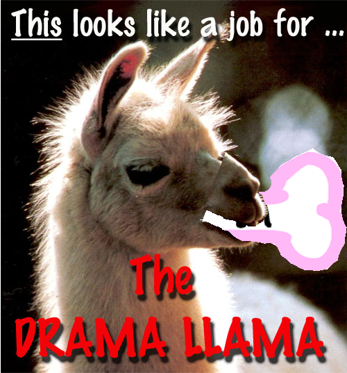 ditto dittooo drama_llama its_ditto meme rule34d