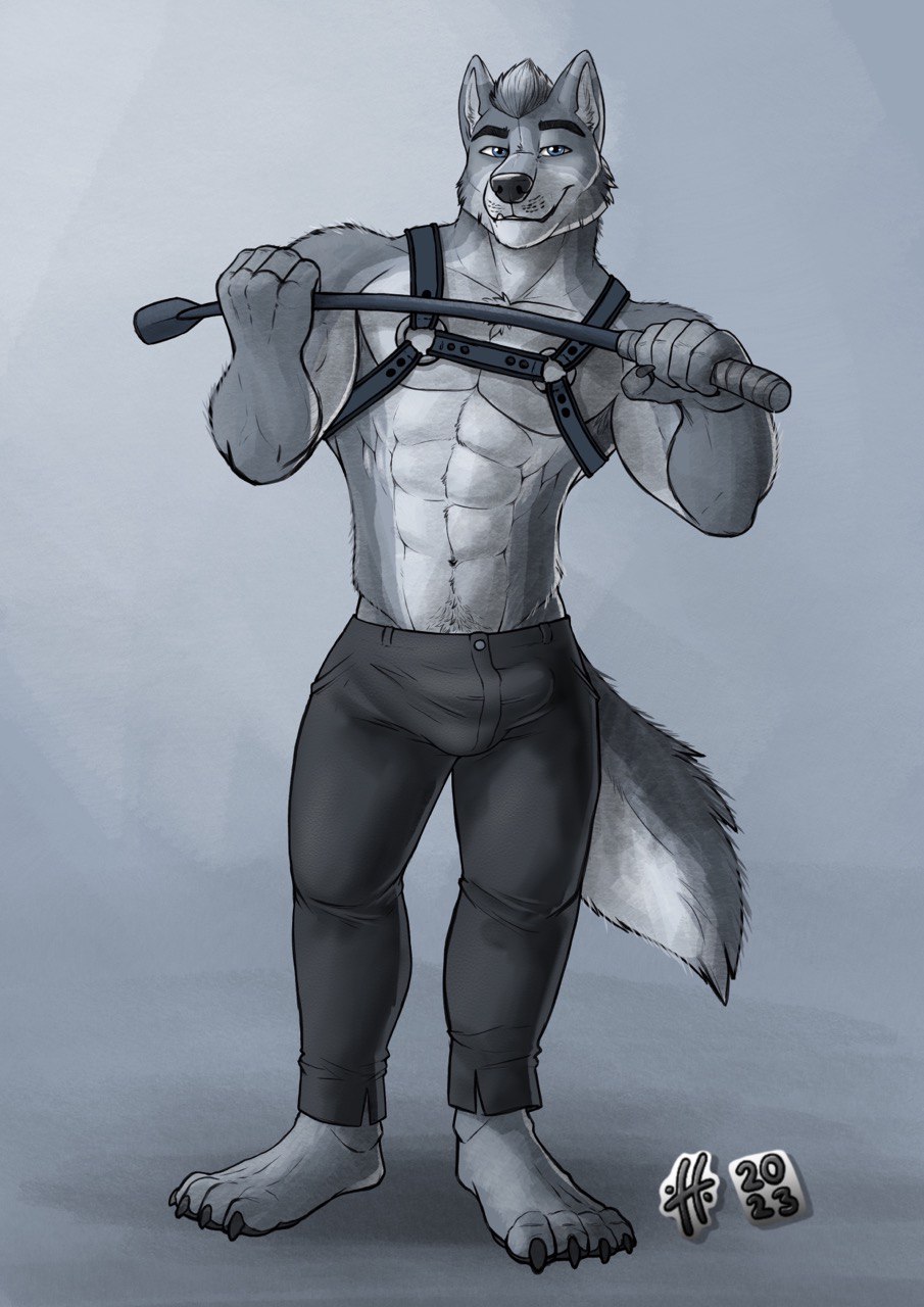 2023 4_toes 5_fingers abs anthro blue_eyes bottomwear canid canine canis claws clothing feet fingers fur grey_background grey_body grey_fur harness head_tuft hi_res hufnaar looking_at_viewer male mammal muscular navel plantigrade riding_crop shirtless signature simple_background smile solo tail toe_claws toes tuft whip wolf