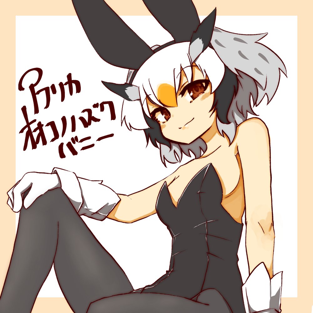 1girl 370ml alternate_costume animal_ears bangs beige_border black_legwear black_leotard border breasts brown_eyes bunny_ears character_name closed_mouth commentary fake_animal_ears gloves grey_hair hand_on_own_knee head_wings kemono_friends knee_up leaning_back leotard looking_at_viewer multicolored_hair northern_white-faced_owl_(kemono_friends) orange_hair pantyhose playboy_bunny short_hair sitting small_breasts smile solo strapless strapless_leotard translated white_background white_gloves white_hair