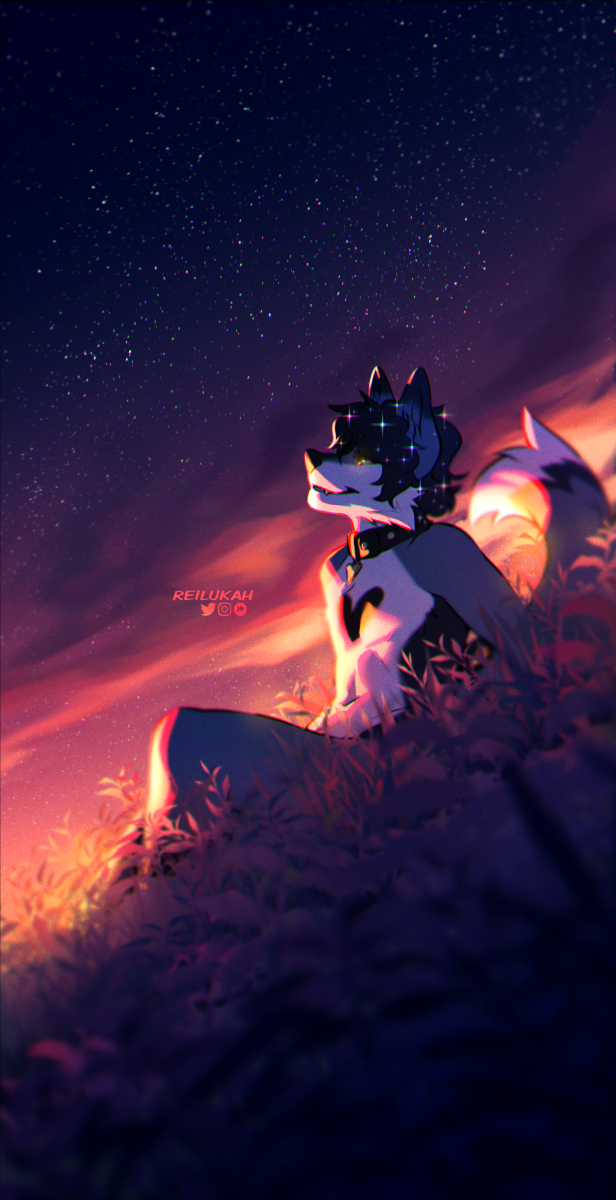 anthro canid canine canis hi_res looking_at_stars lukiri male mammal reilukah sitting solo star stars_in_hair wolf