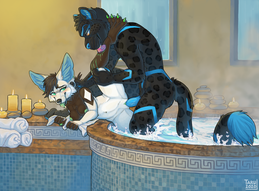 anthro athletic athletic_female bath bathtub bite black_body black_fur blue_body blue_fur blue_markings blue_penis blush breasts brown_body brown_hair candle canid canine claws duo earhole facial_piercing felid feline female female_penetrated fennec fox fur genitals greek green_blood green_eyes green_tongue hair hot_tub inner_ear_fluff leg_lick licking male male/female male_penetrating male_penetrating_female mammal markings nipples nose_piercing nose_ring pantherine paws penetration penis piercing pussy raised_leg scar sex size_difference spa steam taru tongue tongue_out tuft vaginal vaginal_penetration wet wet_body wet_fur white_body