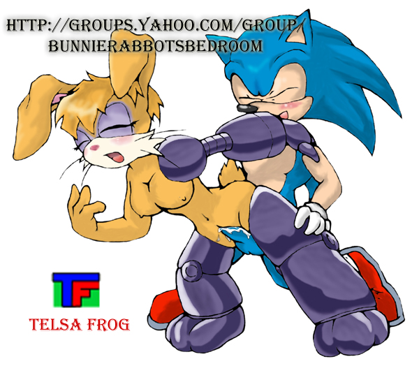 archie_comics bunnie_rabbot sega sonic_team sonic_the_hedgehog telsa_frog