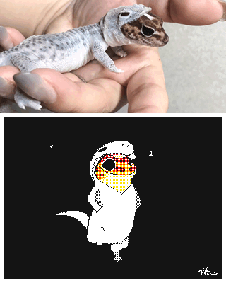 2021 4:5 5_fingers animated anthro arms_bent arms_by_side biped black_background border clothing disembodied_hand duo eublepharid feral fingernails fingers gecko hands_in_pockets holding_character hoodie human humanoid_hands humming keke_(artist) leopard_gecko lizard low_res mammal mostly_offscreen_character multiple_images nails pockets quadruped reptile scalie shedding_skin short_playtime signature simple_background solo solo_focus swaying tail_motion tail_sway topwear walking white_border