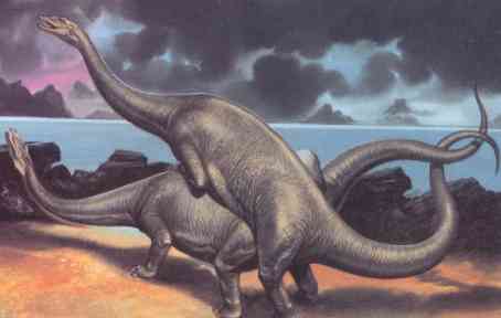 brontosaurus dinosaur tagme