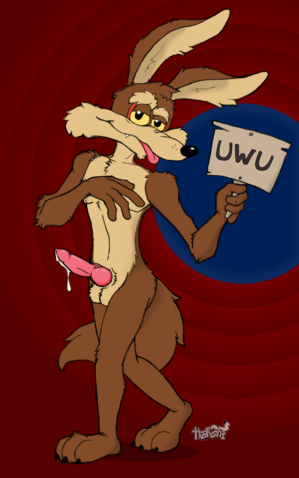 anthro bodily_fluids canid canine canis coyote genital_fluids genitals hokshi looking_at_viewer looney_tunes male mammal penis precum sign solo warner_brothers wile_e._coyote