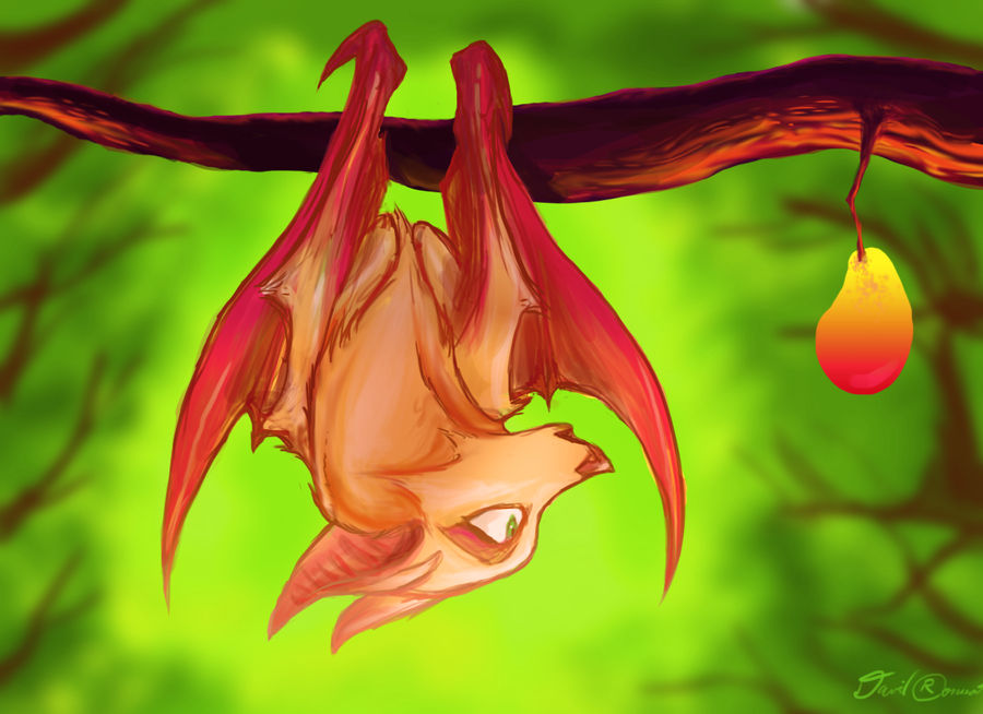 2013 ambiguous_gender bat bat_ears bat_wings cheek_tuft cinemamind digital_media_(artwork) digital_painting_(artwork) facial_tuft feral fur fur_tuft green_background hanging_from_branch mammal mango megabat membrane_(anatomy) membranous_wings nature nature_background orange_body orange_ears orange_fur orange_tuft plant prick_ears red_membrane red_nose red_wings signature simple_background tree tuft upside_down wings yellow_eyes