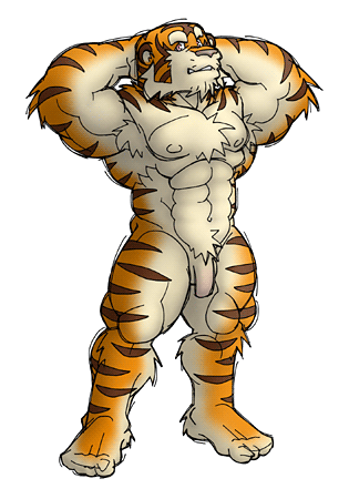 2004 anthro armpit_hair balls body_hair felid flaccid genitals humanoid_genitalia humanoid_penis kemono low_res male mammal muscular muscular_anthro muscular_male pantherine penis simple_background solo tiger white_background yuuki-abe