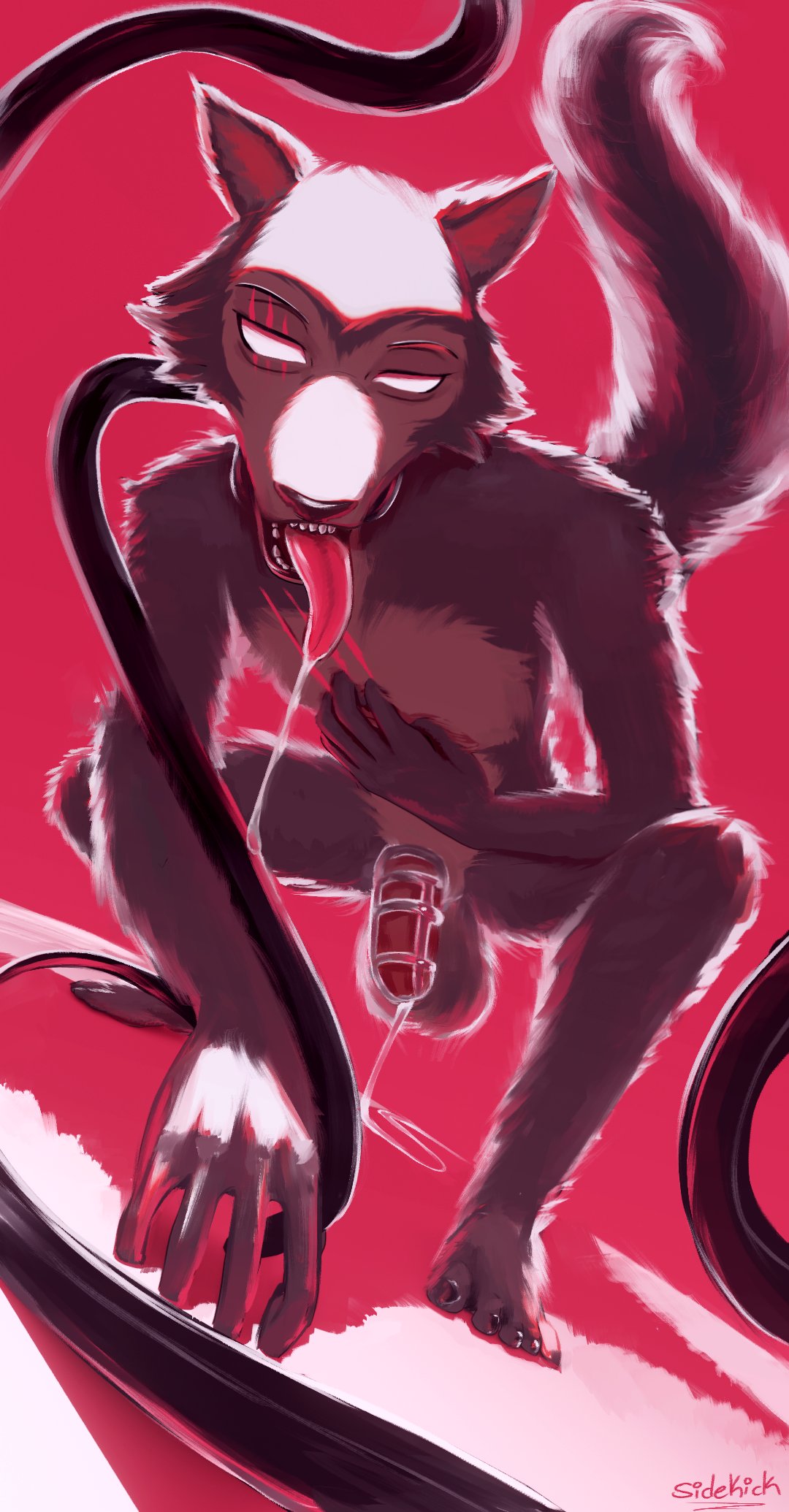 2024 anthro balls beastars bent_over big_balls big_penis bodily_fluids canid canine canis chastity_cage chastity_device claws collar crouching cum cum_drip cum_on_ground cum_string dripping drooling eyebrows fur genital_fluids genitals hi_res humanoid_genitalia humanoid_penis leash legoshi_(beastars) looking_at_viewer male mammal nude open_mouth open_smile penis plantigrade red_background saliva scar sidekick signature simple_background smile solo teeth tongue tongue_out tuft white_eyes wolf