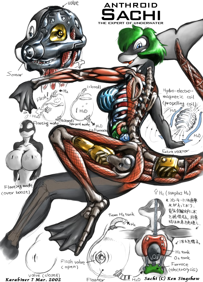 andorozon android anthro anthrofied black_body blue_eyes breasts cetacean cross_section cybernetics cyborg digital_media_(artwork) dolphin english_text equipment featureless_breasts featureless_crotch female fin green_hair hair interior_view karabiner machine mammal marine nude oceanic_dolphin open_mouth orca robot sachi_(ken_singshow) simple_background solo tail tail_fin technology text toothed_whale white_body