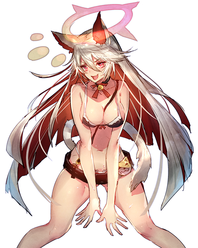 1girl animal_ears bell black_bra blush bra breasts cleavage colored_inner_hair fang guilty_gear guilty_gear_xrd hair_between_eyes jack-o'_valentine jingle_bell large_breasts long_hair looking_at_viewer multicolored_hair navel neck_bell open_mouth oro_(sumakaita) red_eyes simple_background sketch skin_fang smile solo tail tongue tongue_out underwear v_arms very_long_hair wet white_background