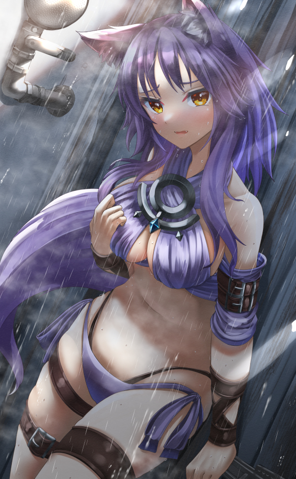 1girl animal_ear_fluff animal_ears arm_strap bangs bikini blush breasts criss-cross_halter halterneck large_breasts looking_at_viewer makoto_(princess_connect!) medium_hair navel open_mouth princess_connect! purple_bikini purple_hair shower_(place) sidelocks solo swimsuit tail thigh_strap thighs totororo water wet wolf_ears wolf_girl wolf_tail yellow_eyes