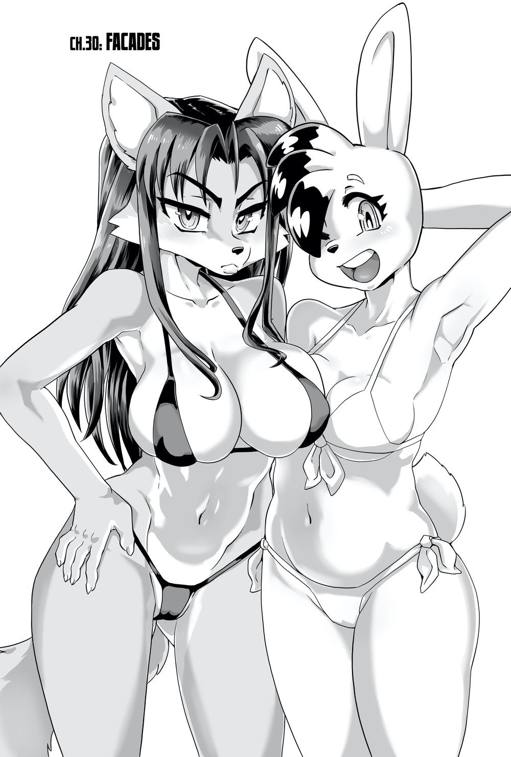 anthro bikini breasts camel_toe canid canine clothed clothing cover cover_art cover_page daigaijin duo female fox fur furryfight_chronicles hair hi_res kalita_(furryfight_chronicles) lagomorph leporid mammal midriff muko navel open_mouth rabbit swimwear