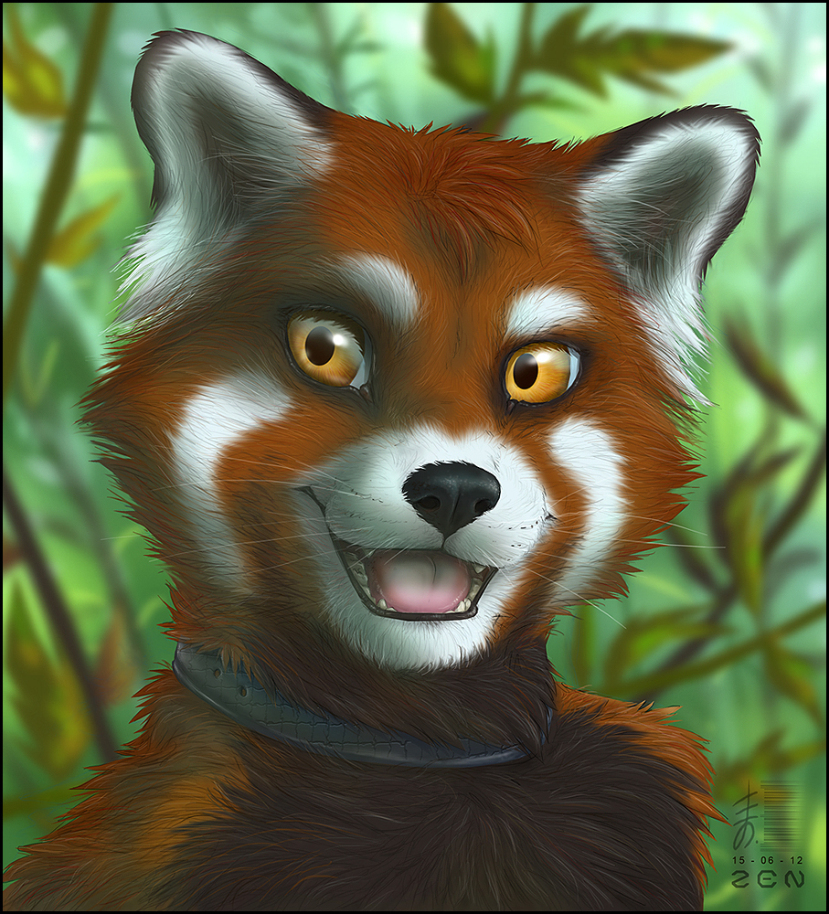 2012 ailurid amber_eyes anthro bamboo bamboo_tree belly black_belly black_nose collar collar_only eyebrows fur headshot_portrait male mammal open_mouth outside plant portrait red_body red_fur red_panda signature smile solo teeth tongue tree whiskers white_body white_ears white_eyebrows white_fur white_muzzle zen