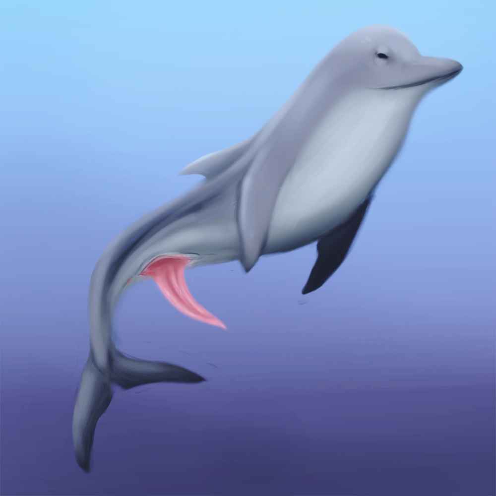 1:1 anatomically_correct anatomically_correct_genitalia anatomically_correct_penis animal_genitalia animal_penis cetacean cetacean_penis delphinoid feral feral_dick fish genitals l077 male mammal marine penis sea slit solo tapering_penis toothed_whale underwater water