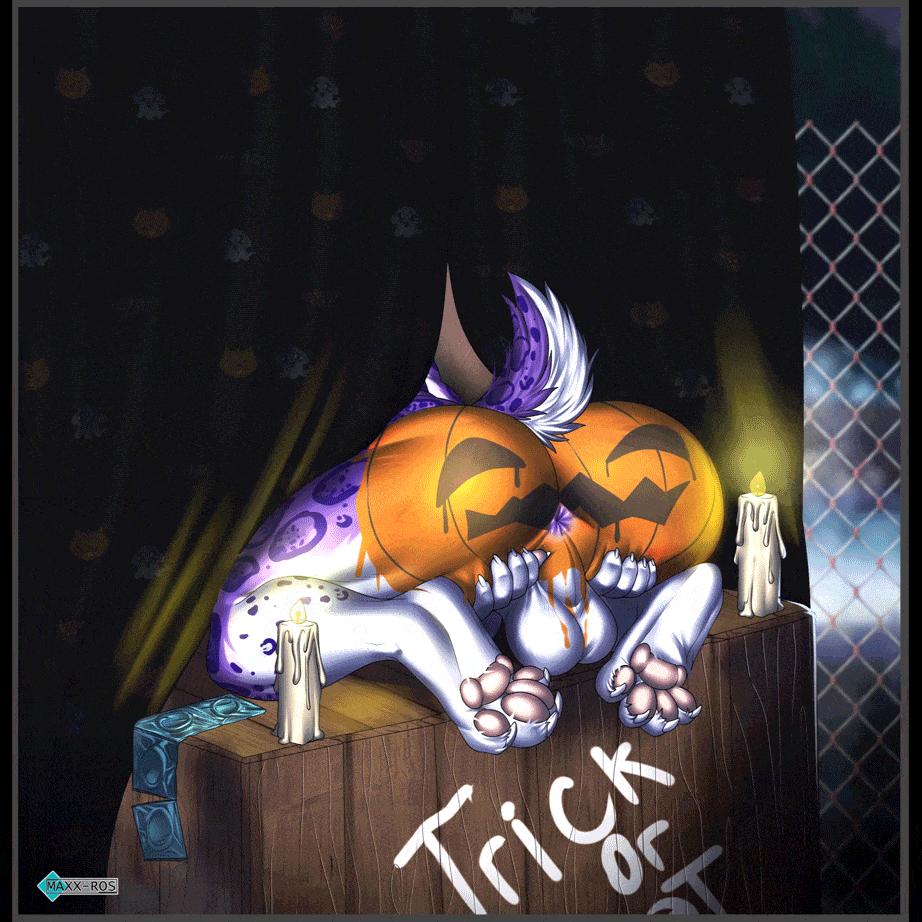 1:1 alley animated anthro antlers anus anus_focus balls big_balls butt candle candlelight capreoline cervid chain-link_fence clawed_toes claws cleovelot clouded_leopard condom condom_decoration curtains feet felid food fruit fur genitals halloween holidays horn hybrid jack-o'-lantern kneeling light looking_back male mammal maxx-ros paint pantherine pawpads paws perineum plant presenting presenting_anus presenting_hindquarters pumpkin pumpkin_butt purple_body purple_eyes purple_fur rosettes scut_tail sexual_barrier_device short_playtime short_tail solo spots spotted_body spotted_fur trick_or_treat white-tailed_deer white_body white_fur